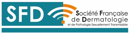 SFD_complet_vecto