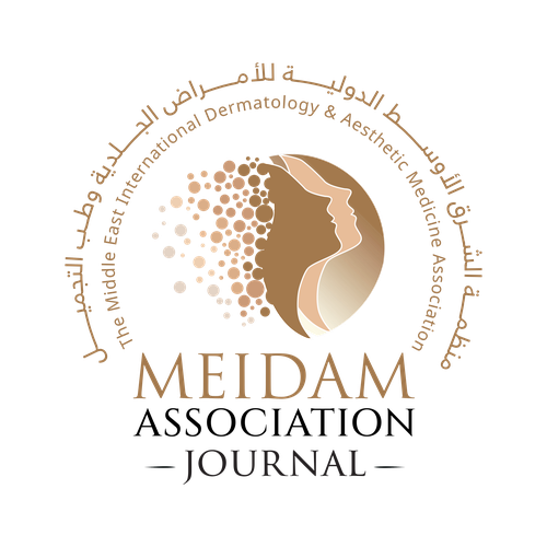meidam journal logo