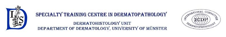 online course event banner